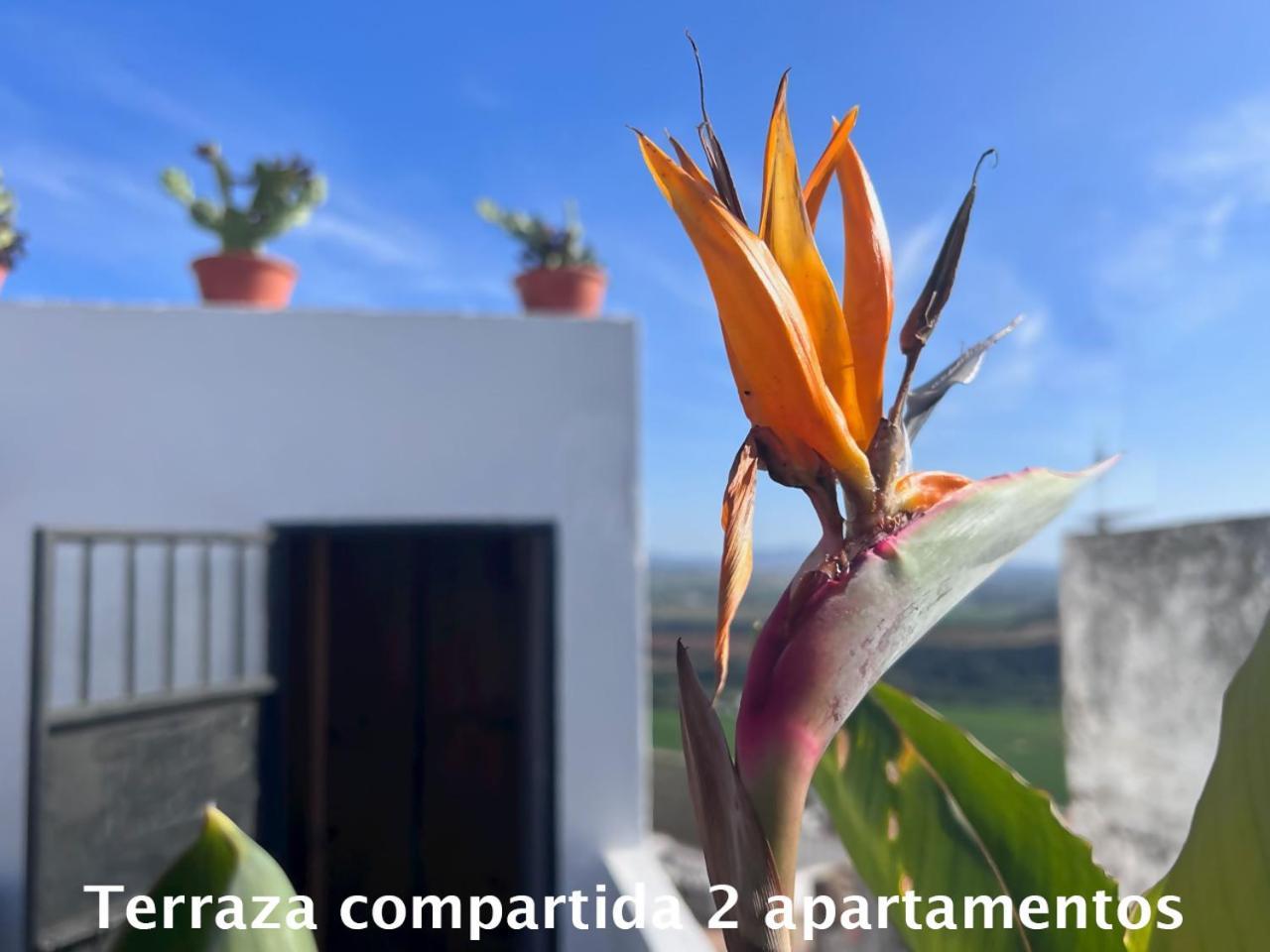 Casa Abades Arcos De La Frontera Lejlighed Eksteriør billede